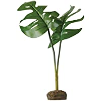 Exo Terra Planta